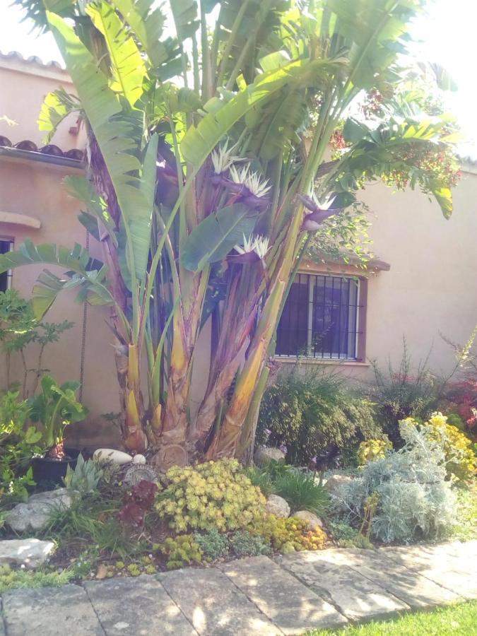 Arthouse Campos Mit Haus Galeria 110Qm Und Appartementhaus Mit Patio 30Qm Exterior foto