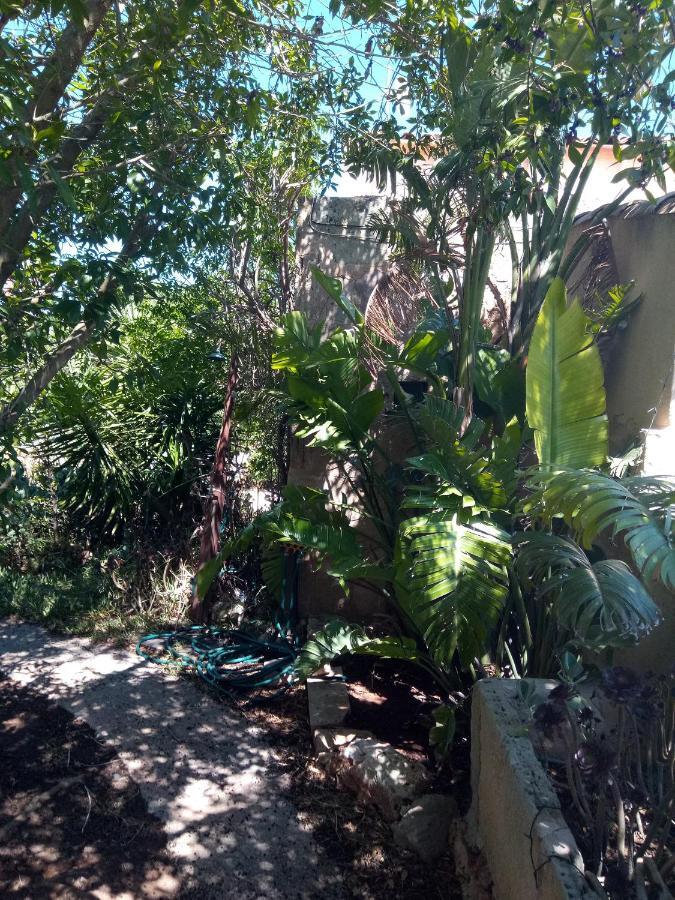Arthouse Campos Mit Haus Galeria 110Qm Und Appartementhaus Mit Patio 30Qm Exterior foto